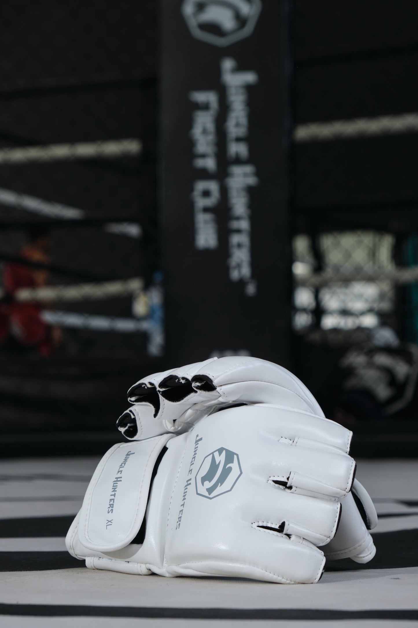 MMA GLOVES